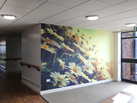 Wall wraps & display graphics for branding & decoration | Aura